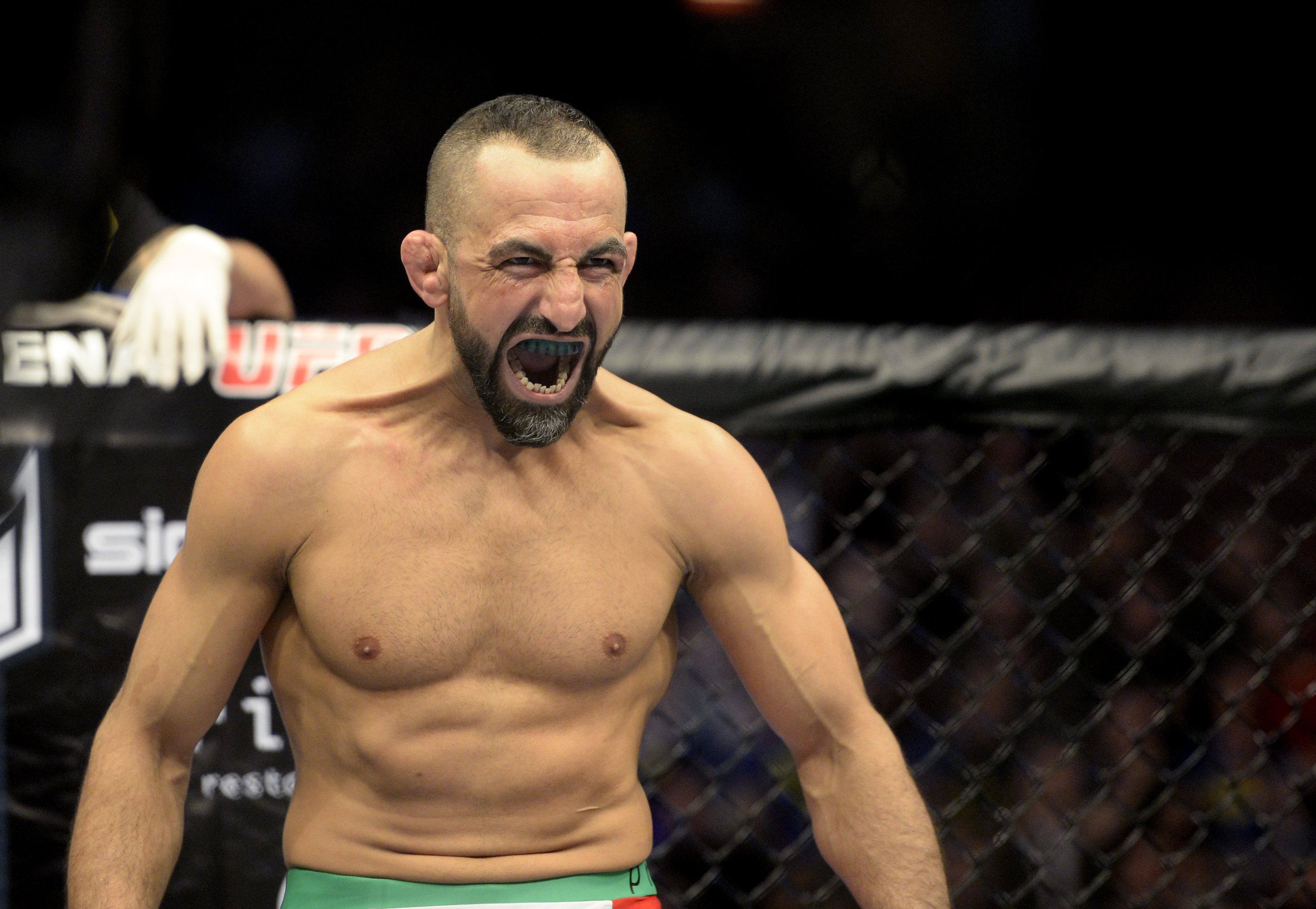 Maddog, MMA, Lyxbutik, Reza Madadi, Stockholm, Grov Stöld