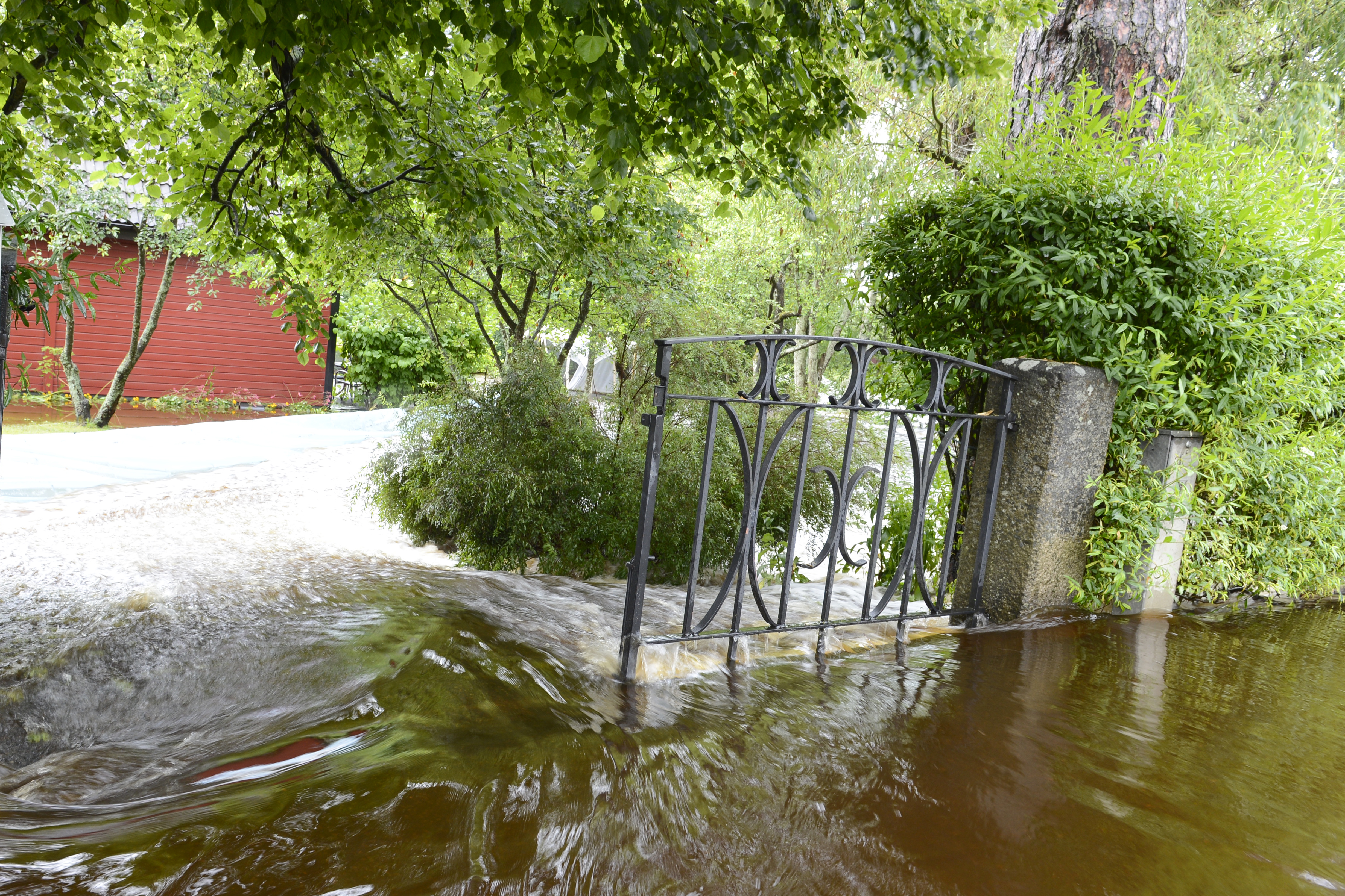 Översvämning, bildextra, Småland, regn