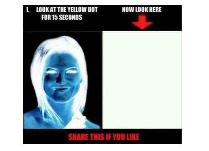 bilder, Bild, Internet, Hjärnan, Facebook, Illusion, Kvinna, Sociala Medier, Minne