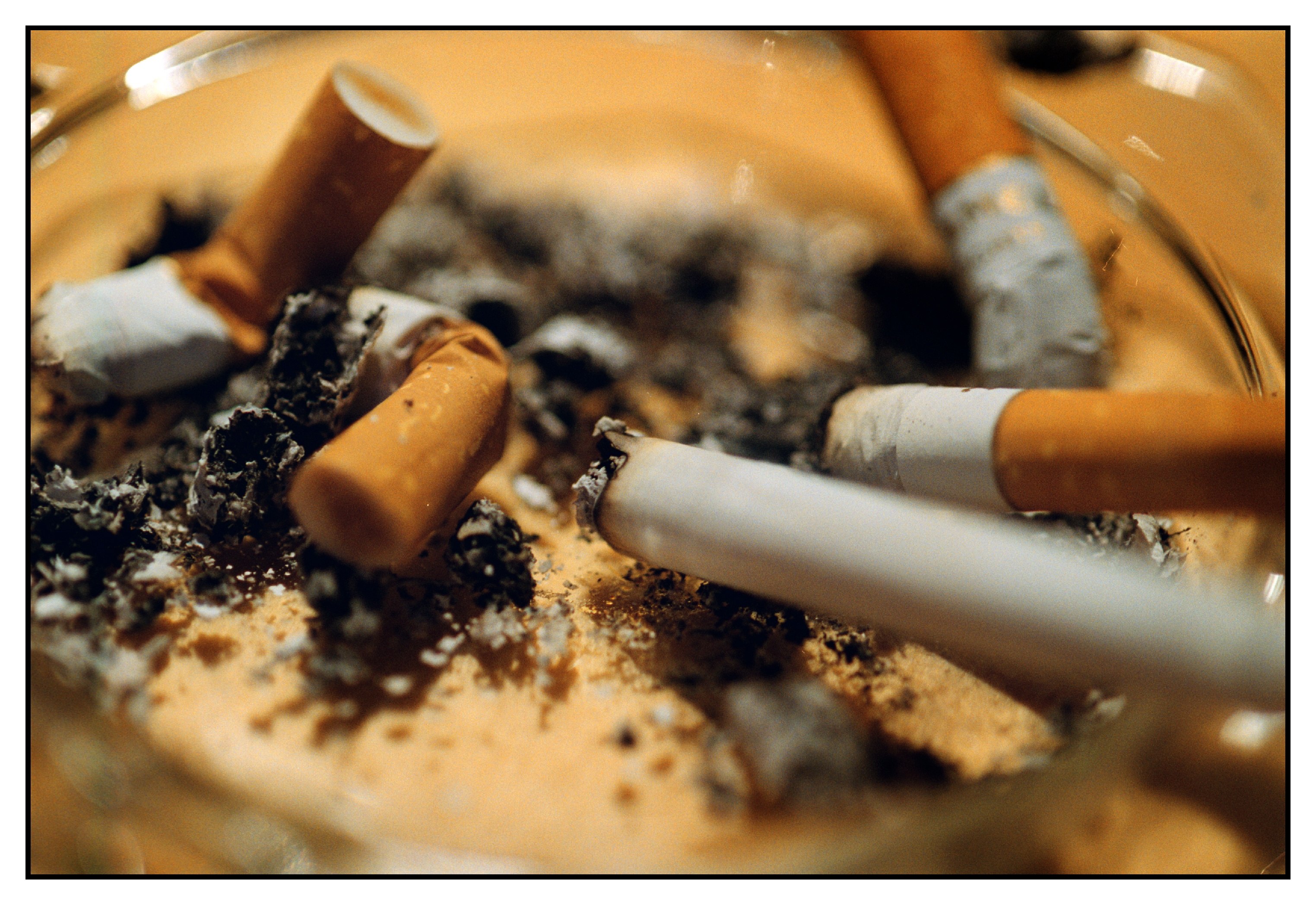 Cigaretter, Studie, rokning