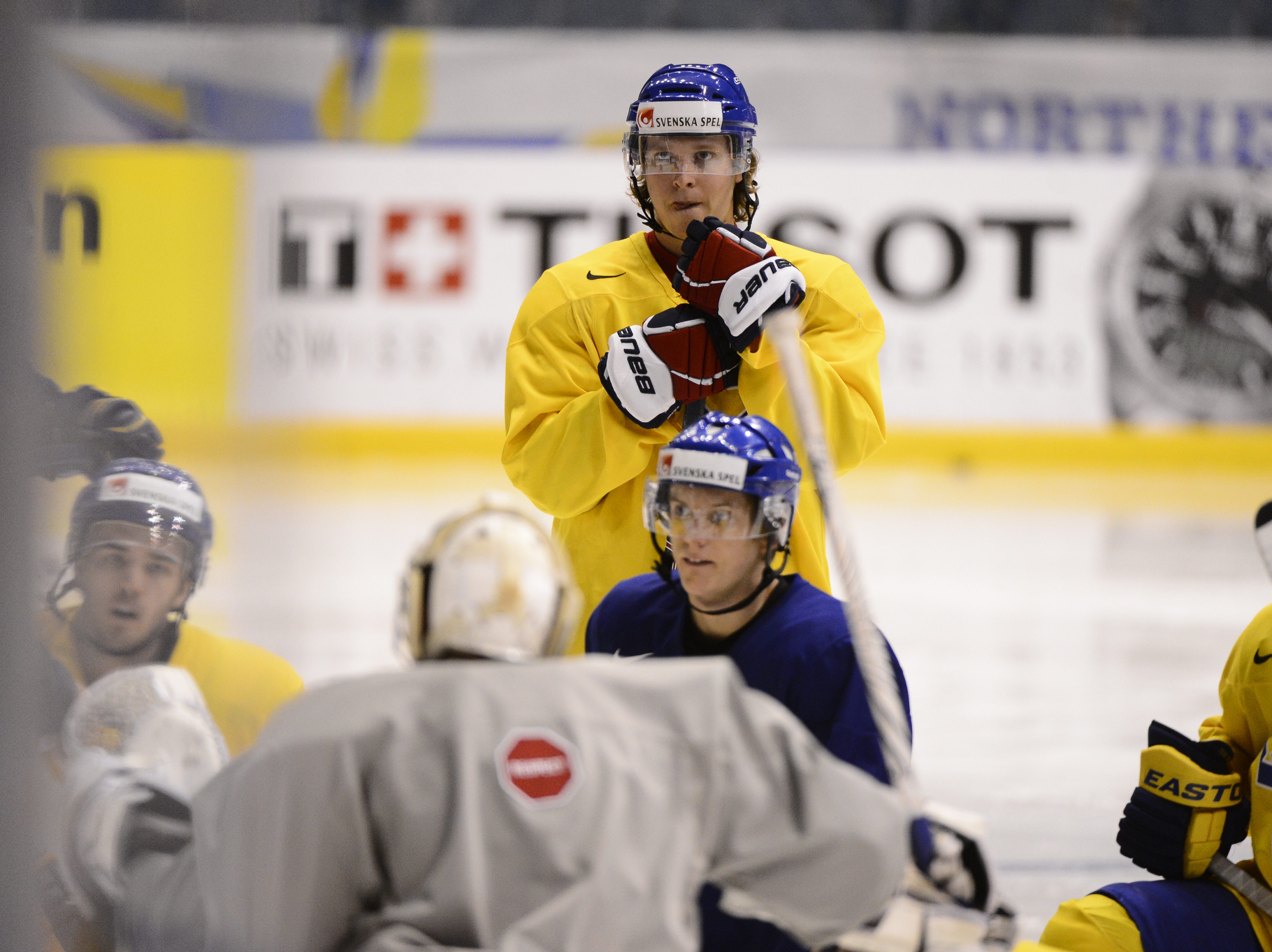 Dyr,  Försäkringar, Nicklas Backstrom, Brynas, nhl