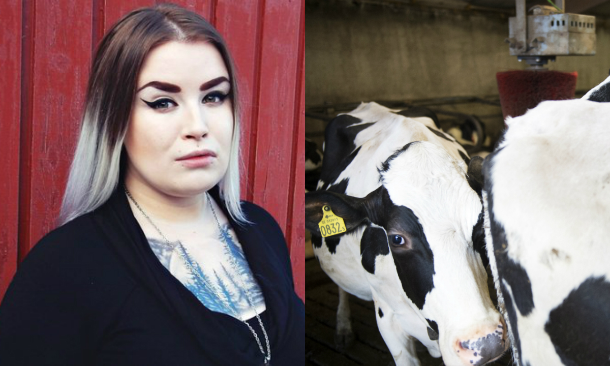 Utsläpp, Miljo, Debatt,  Köttindustrin, ​Lisa Bjernhagen