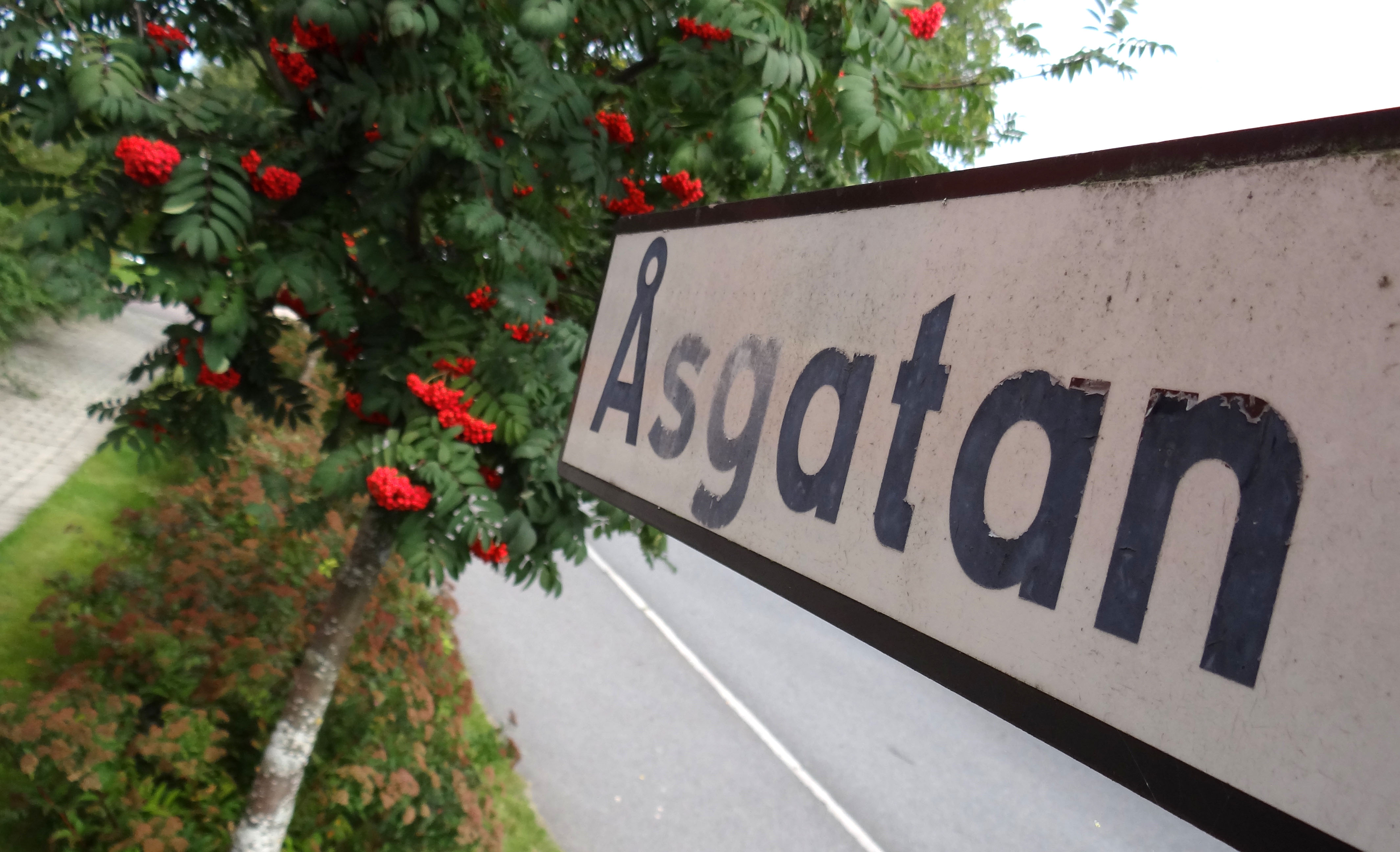 Sexuellt ofredande, Blottare, Linkoping