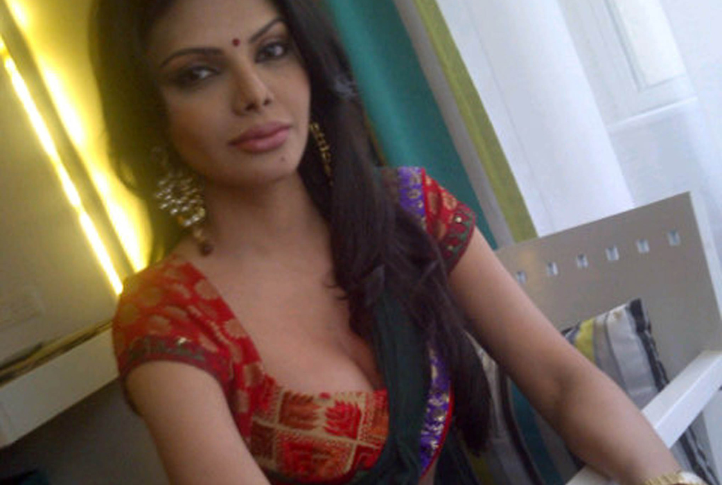 Sherlyn Chopra, Playboy