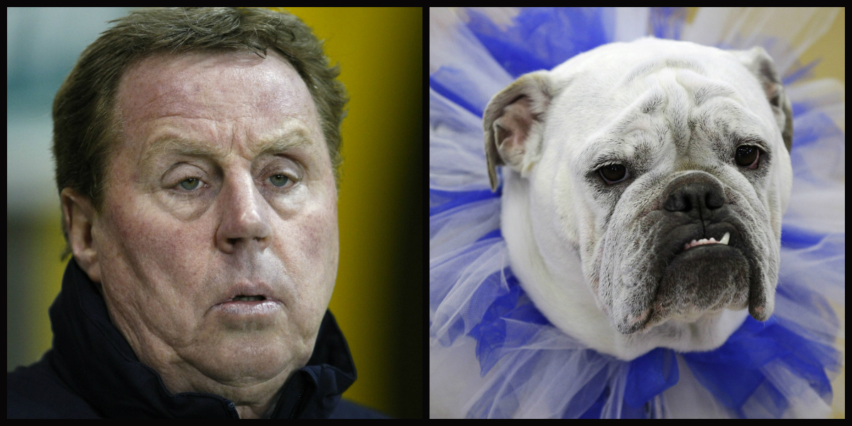 Dubbelgångare, Look-a-likes, Djur, Fotbollsspelare