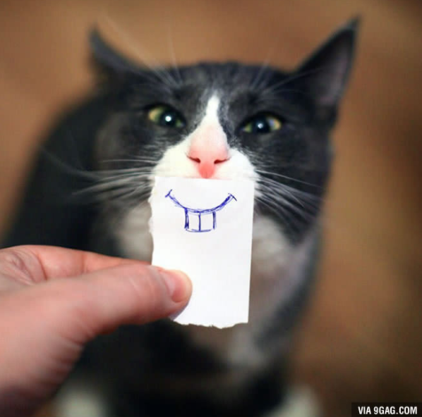 katt med mun