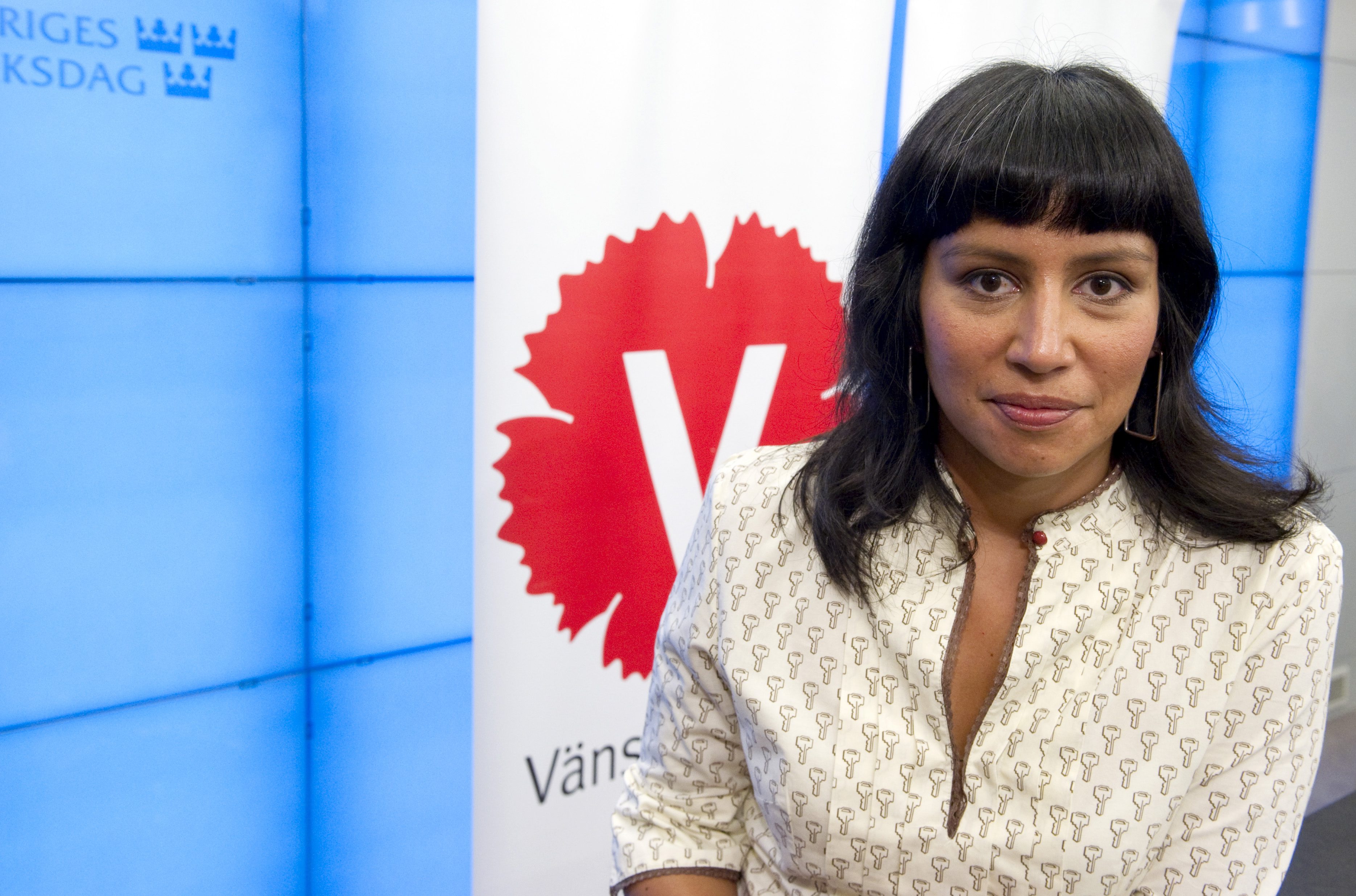 Riksdagen, Forskare, Socialdemokraterna, Skola, Rossana Dinamarca, Politik, Kommission, Ibrahim Baylan, Regeringen, Alliansen, Metta Fjelkner, Jan Björklund