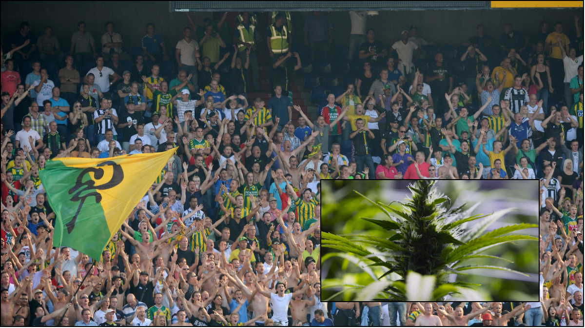 Förgiftade, Supportrar, ADO Den Haag, Feyenoord, Haschkakor