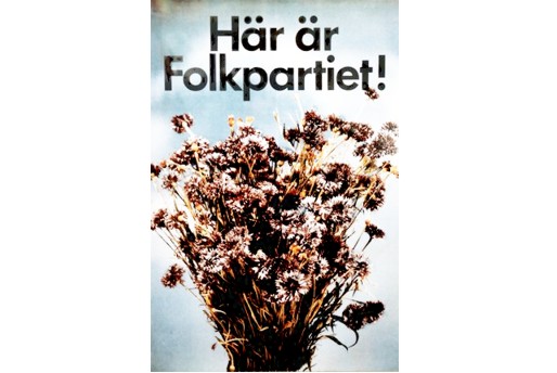 Valaffischer, sexiga, Sexigaste politikerna, Maktkamp24, Sexigast, Val 2010
