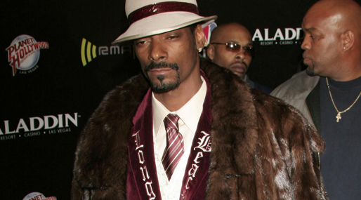 Snoop Lion, Hallick