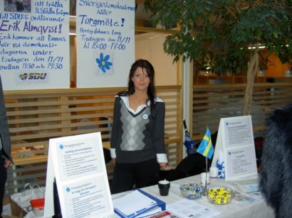 Skola, Brak, Gymnasieskolor, Val, Sverigedemokraterna, Val 2010, Elever, SD, Gymnasieskola, Skolorna, Framtid