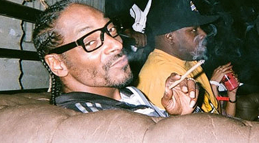Snoop Lion, Hallick