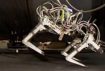 Militar, Robothund, USA, Forskning, Teknik, Framtid, Krig, Robot