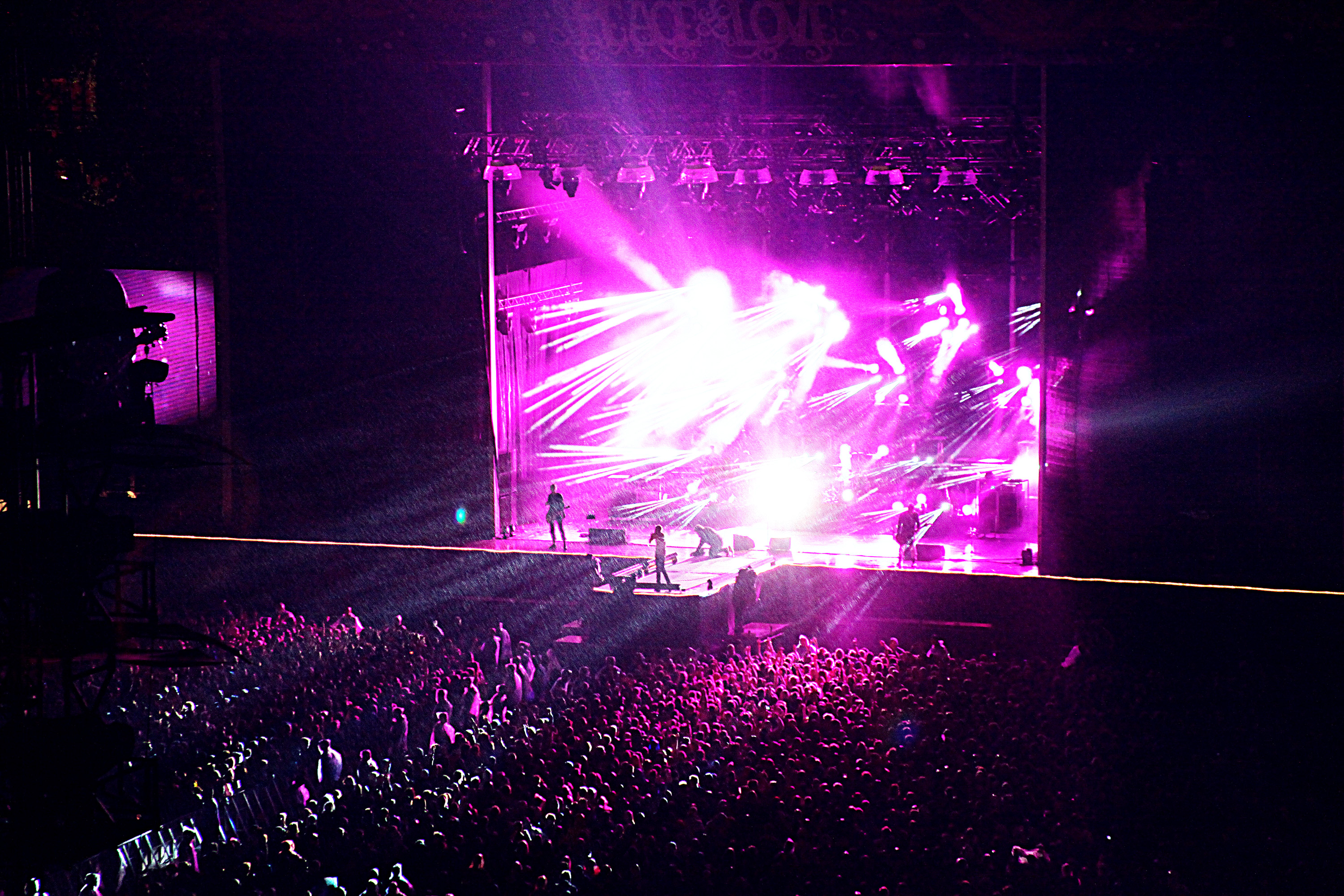 Festival24, Peace & Love, Nyheter