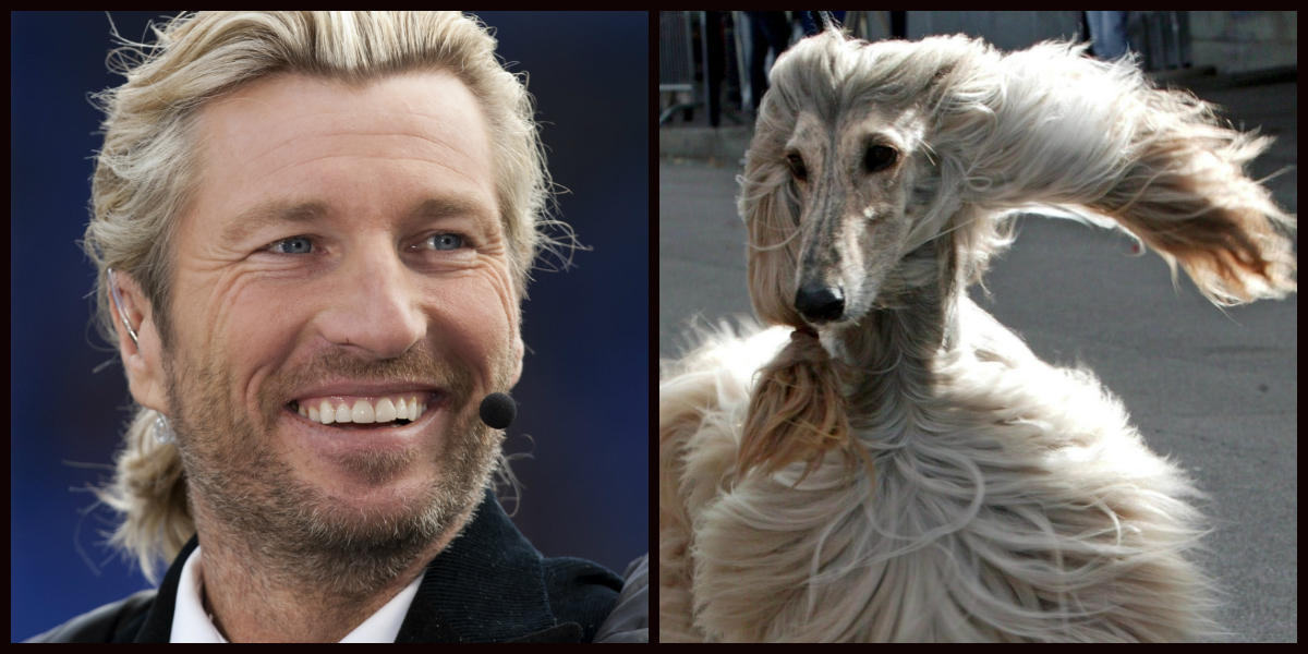 Djur, Fotbollsspelare, Look-a-likes, Dubbelgångare