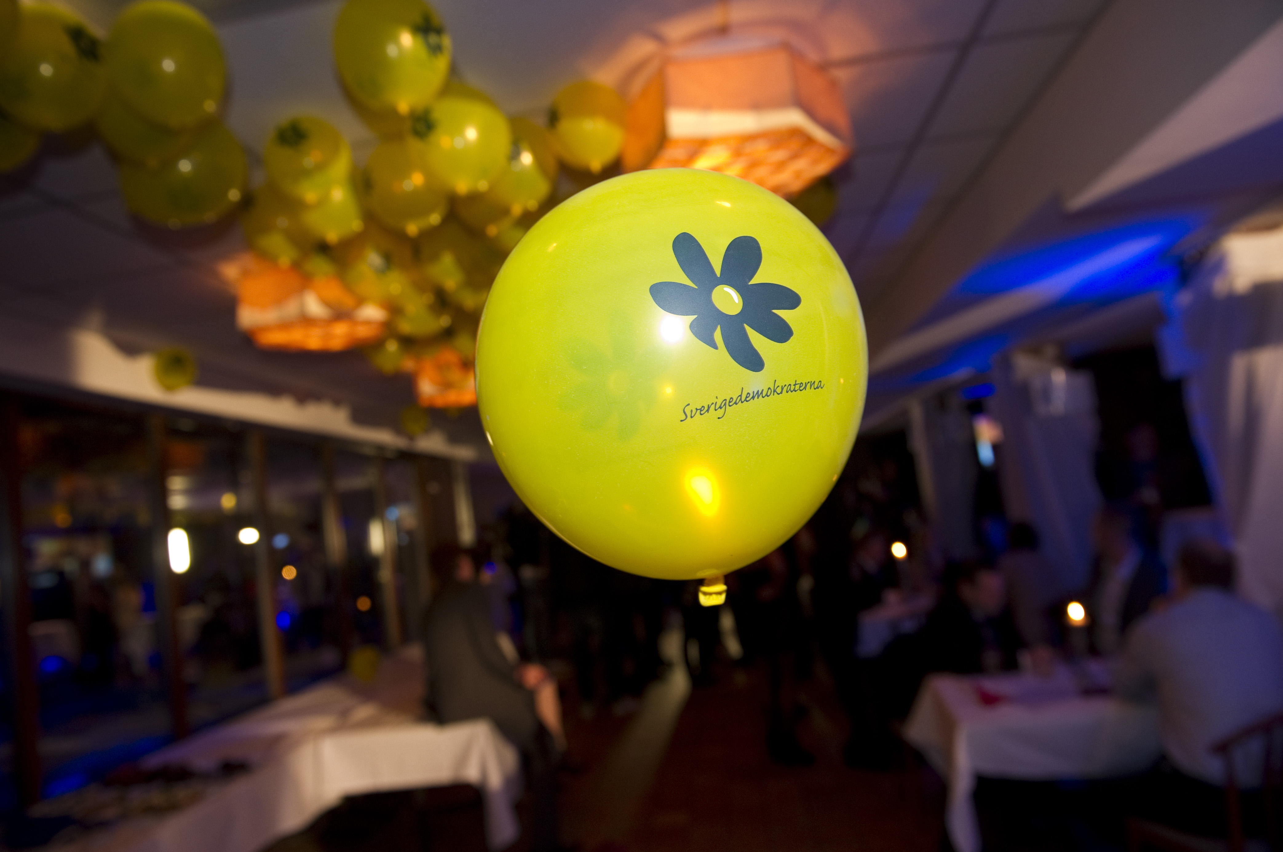 Facebook, Rasism, Hets mot folkgrupp, Val 2010, Sverigedemokraterna