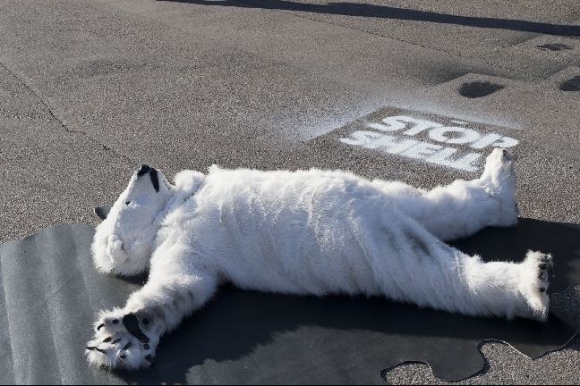 Arktis, Protest, Shell, Greenpeace, Aktion, ST