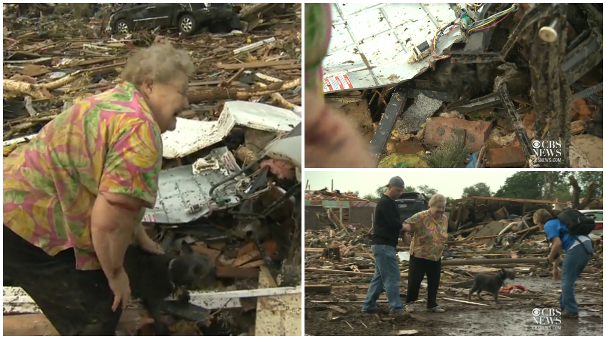 Oklahoma City, Oklahoma, Ruin, Orkan, Hund