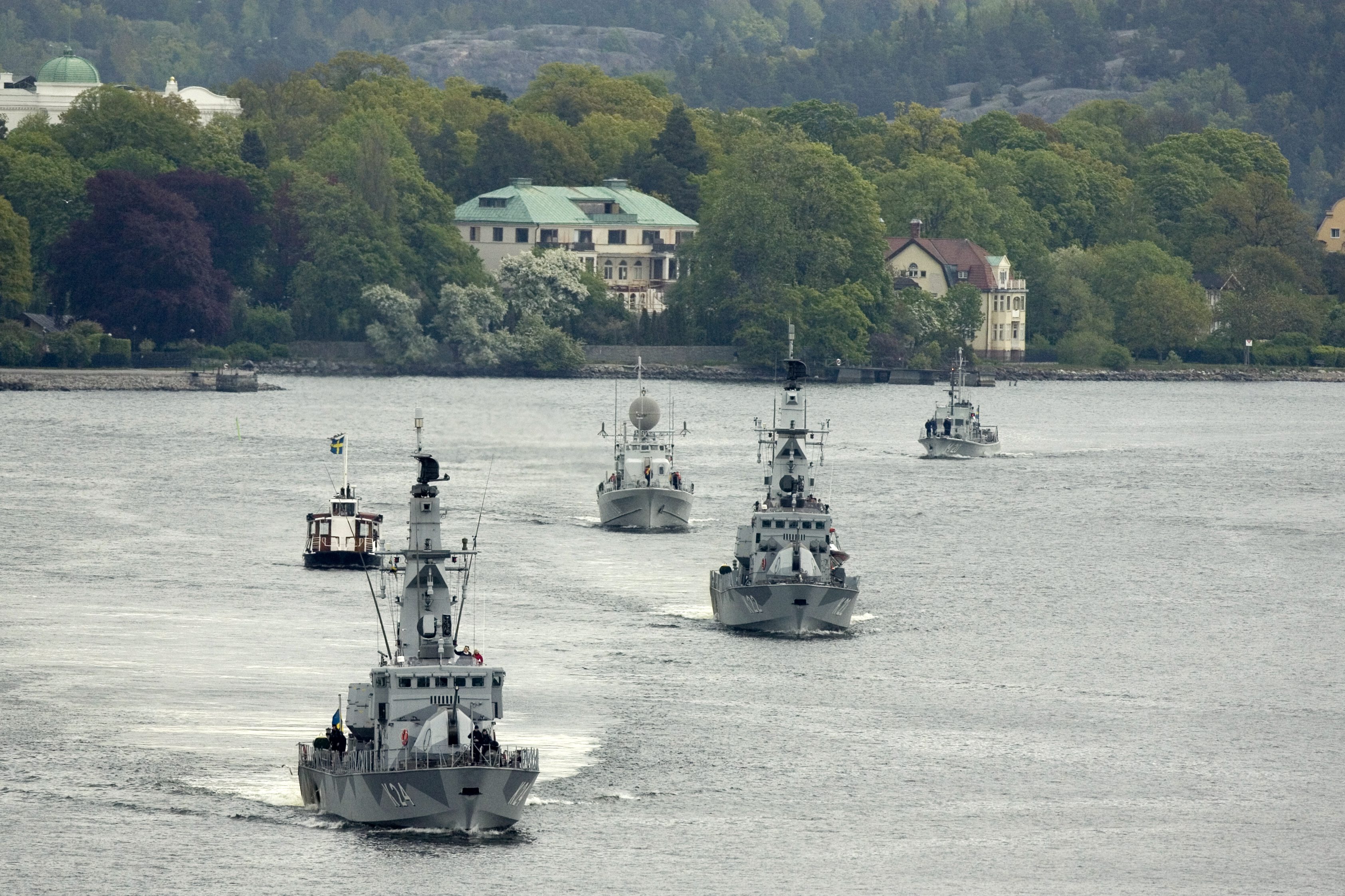 Försvarsmakten, Flottilj, Vapen