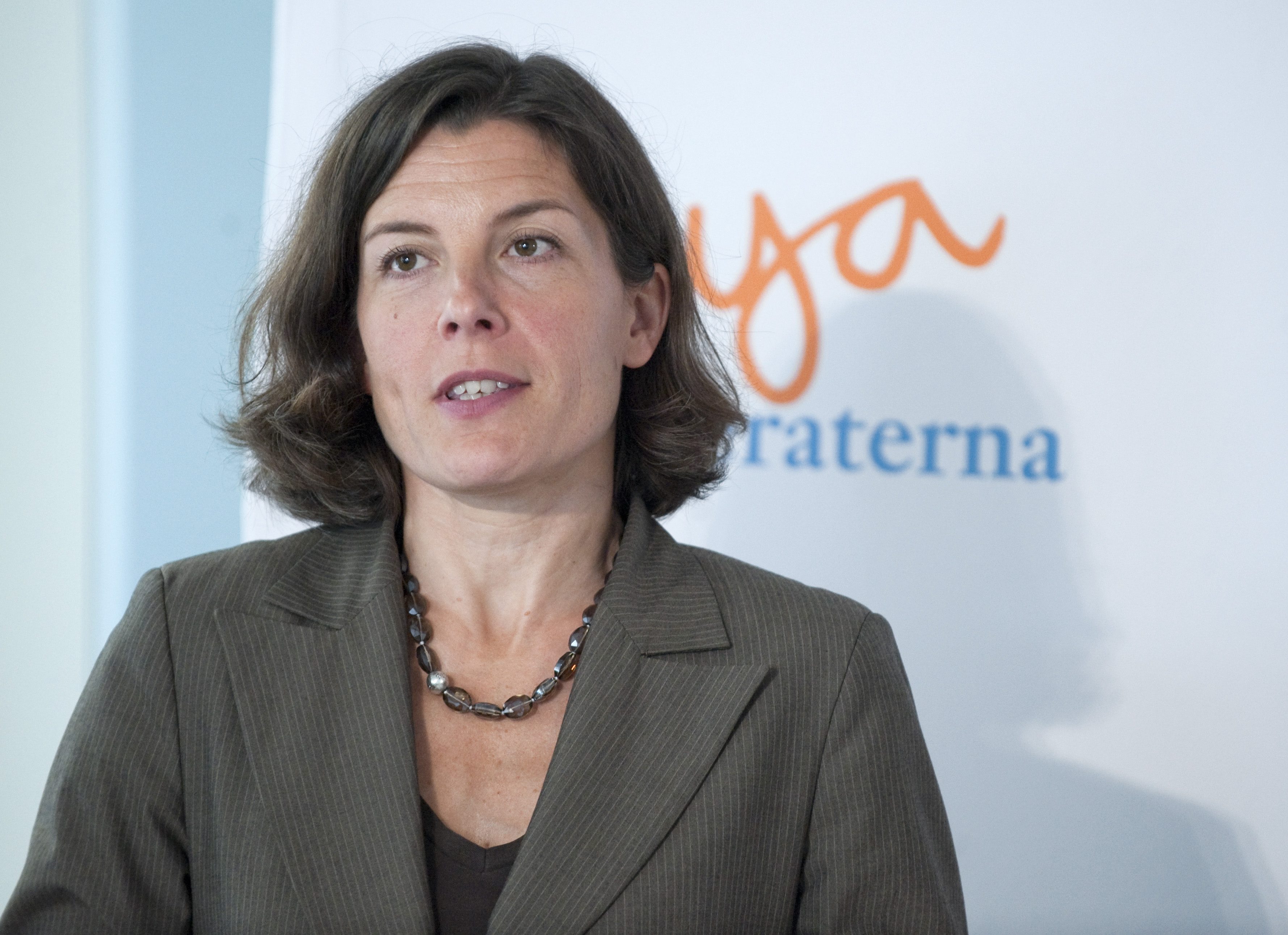 Karin Enström, Försvarsminister, Projekt Simoom, Saudiarabien