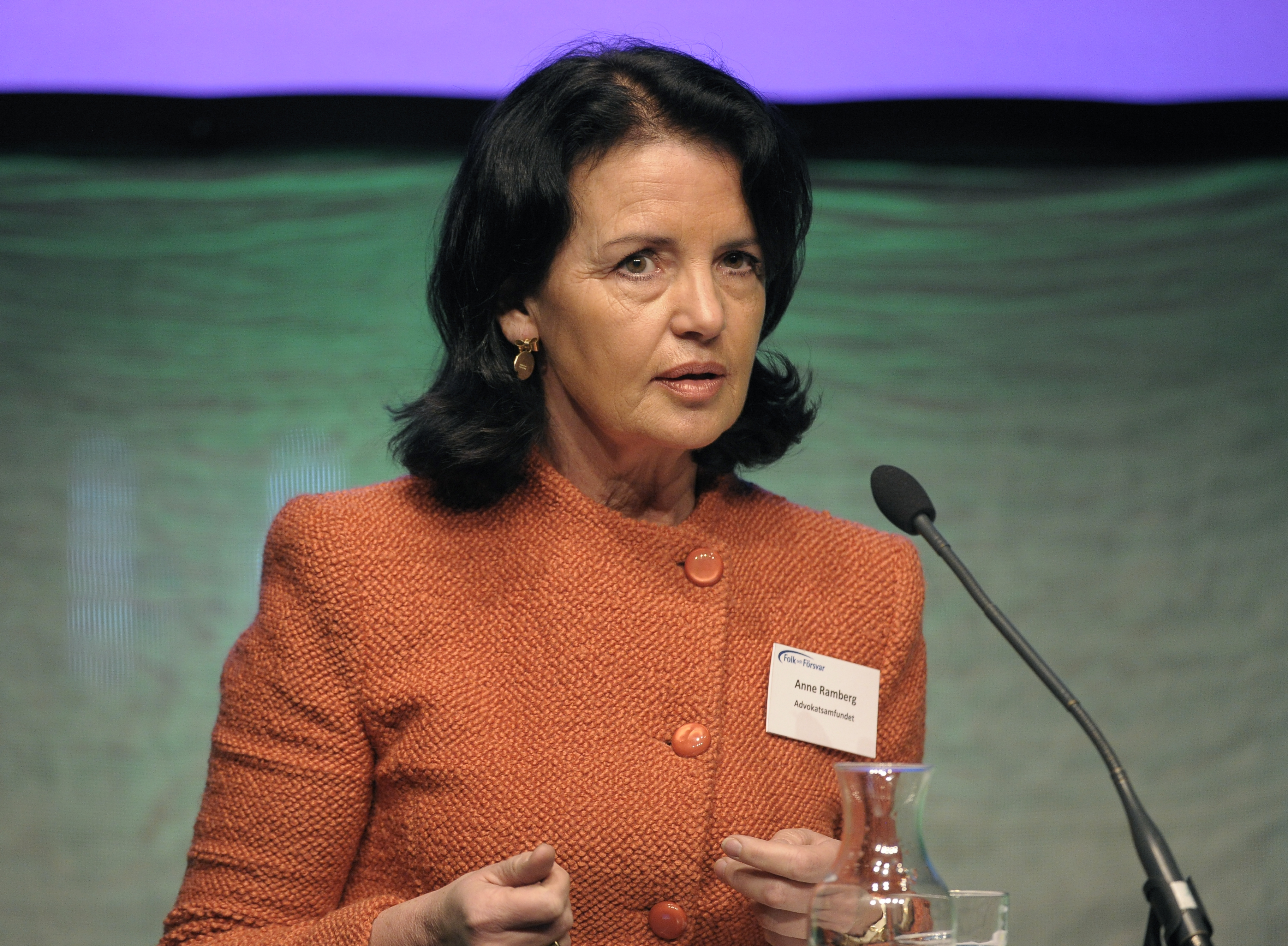 Signalspaning, Advokatsamfundet, Anne Ramberg, Polisen, Säpo, Beatrice Ask, Datainspektionen, FRA
