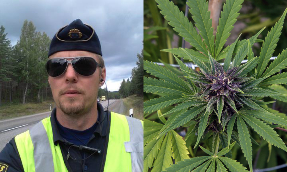 free xxx älskar att suga kuk free xxx älskar att suga kuk