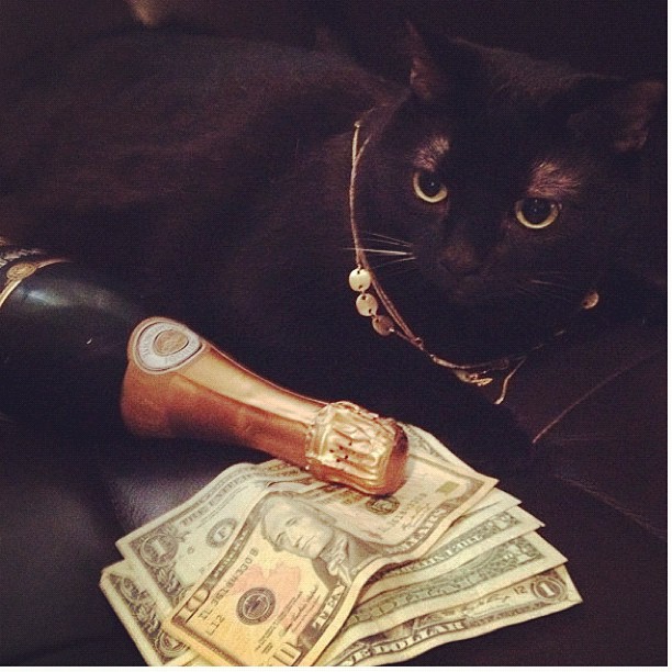  Rich Cats Of Instagram,  Choupette, Rich Kids Of Instagram