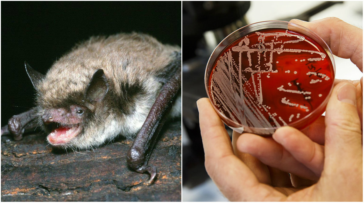 kul dejt i stockholm