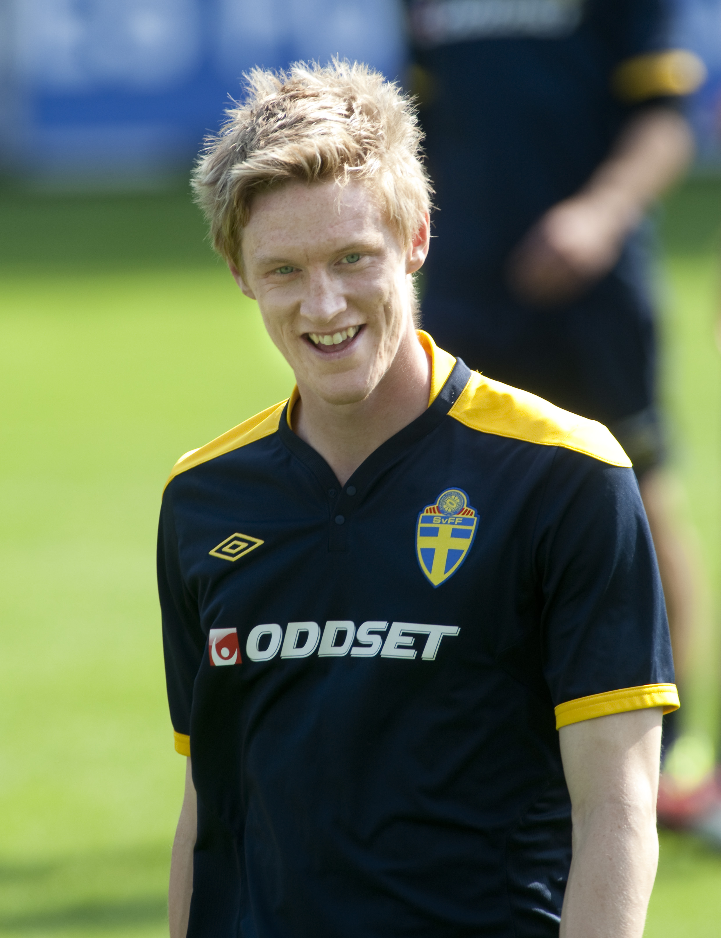 Landslaget, VM 2014, Allbäck
