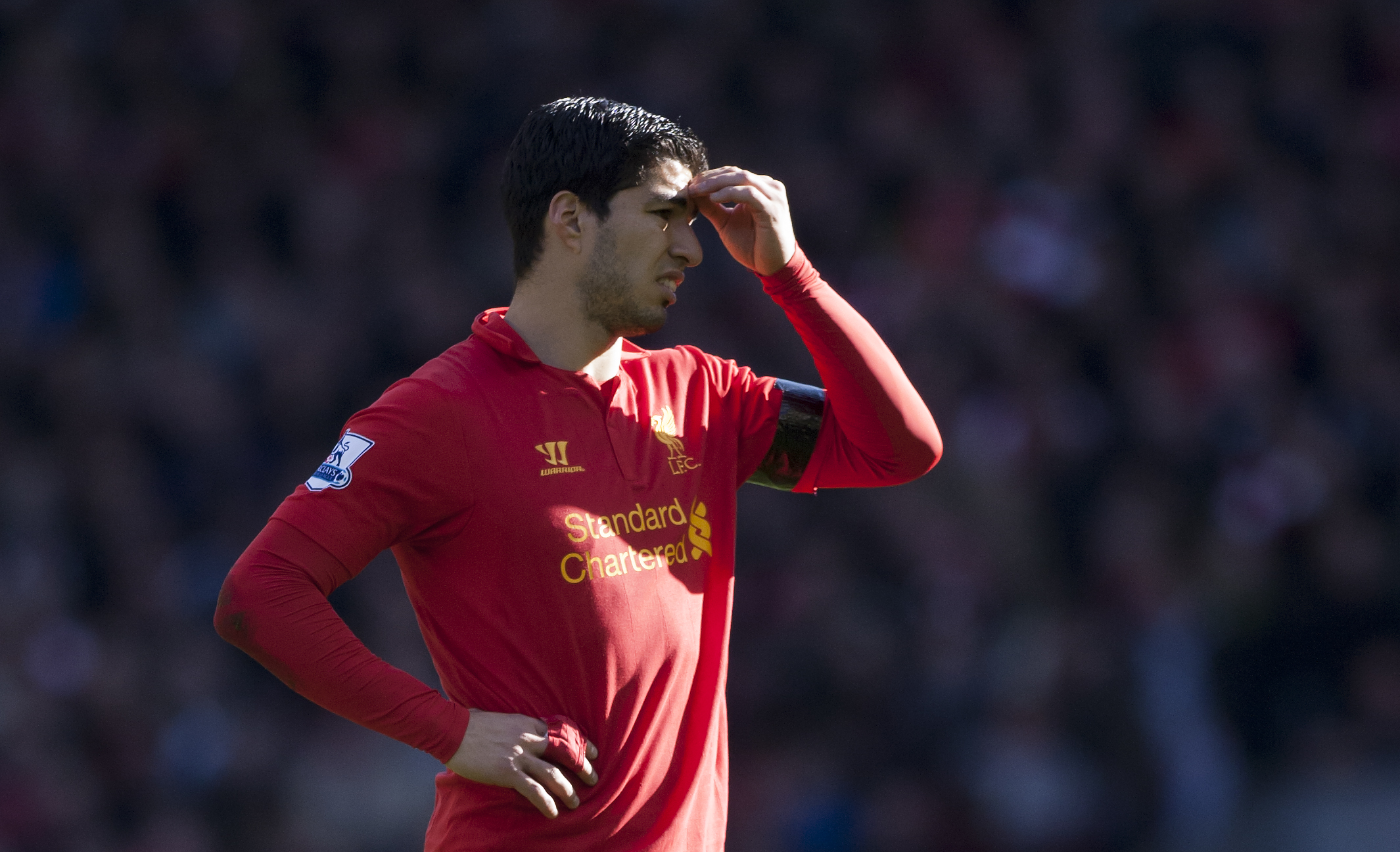 Premier League, Luis Suarez, Twitter, Branislav Ivanovic, Skandalbett, Video