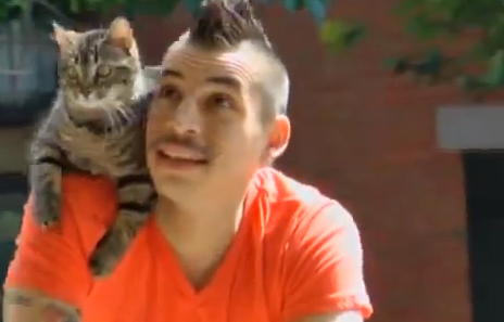 Katt, VideoExtra, Budbärare