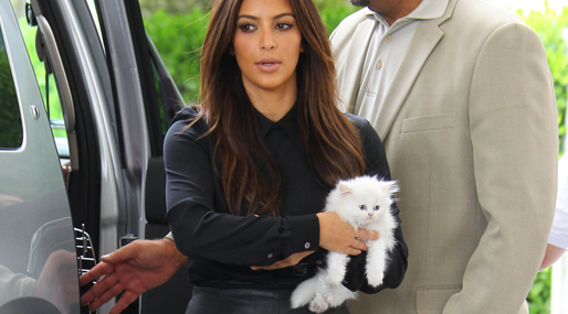 Choupette,  Mercy, Kim Kardashian, Kanye West