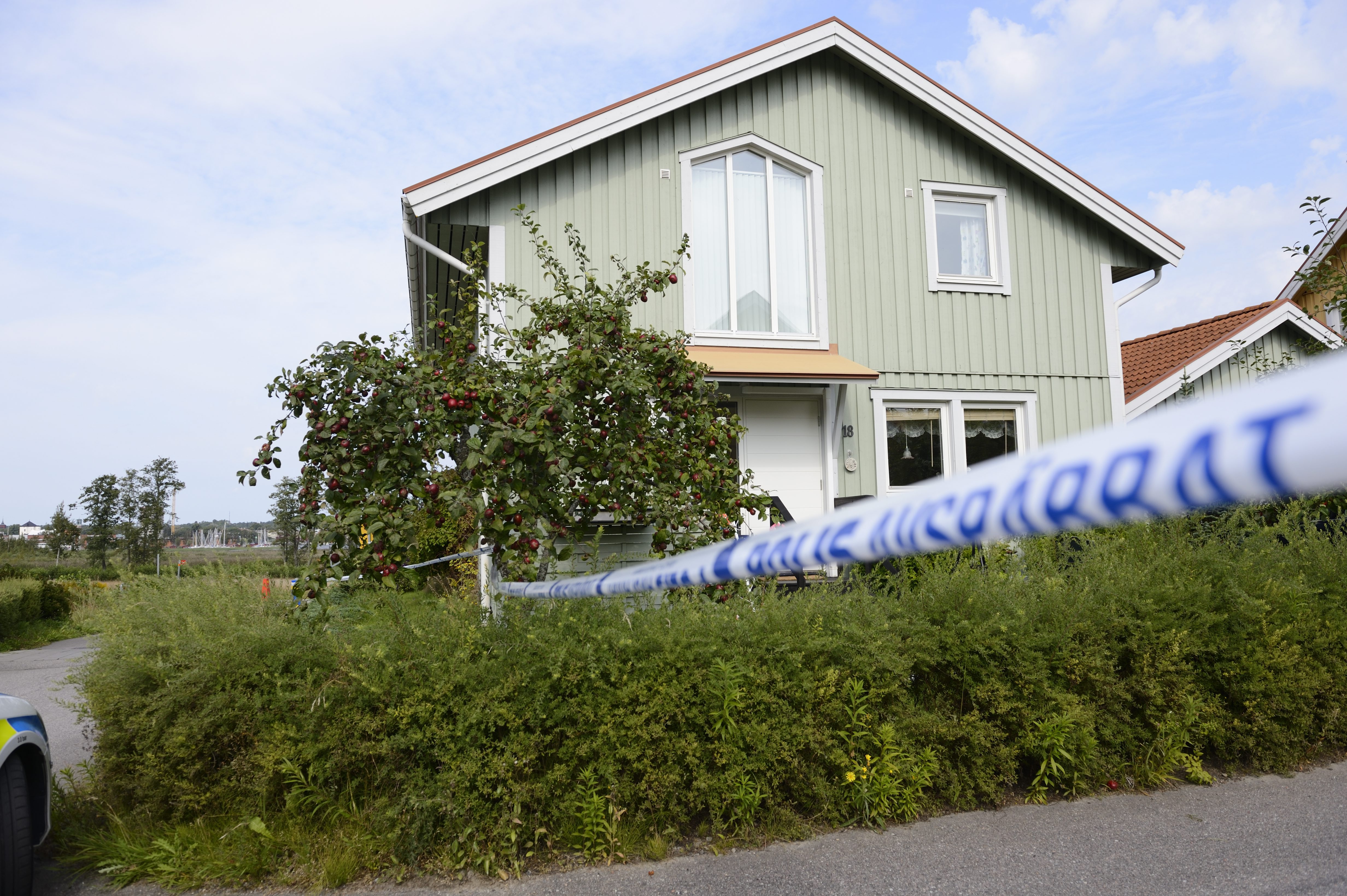 Nykoping, Baby, tal, Lakare, Babymordet, mord