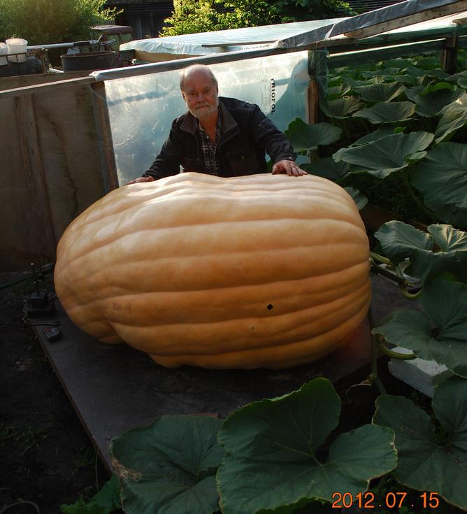 Börje Gustavsson, Pumpa, Skurup