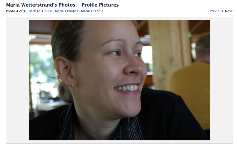 Henrik Alexandersson, Fredrik Reinfeldt, Val 2010, Moderaterna, Maria Wetterstrand, Håkan Juholt, Facebook, Göran Hägglund, Birgitta Ohlsson, Alliansen, Makeover, Tobias Krantz, Per Schlingmann, Gudrun Schyman, Profilbild