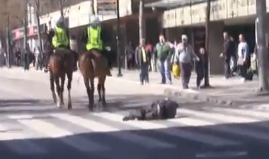 Polishäst, Svenskarnas parti, Polis, Demonstrationer, 1 maj