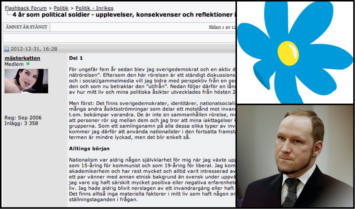  Political soldier, Sverigedemokraterna, Flashback, Mästerkatten
