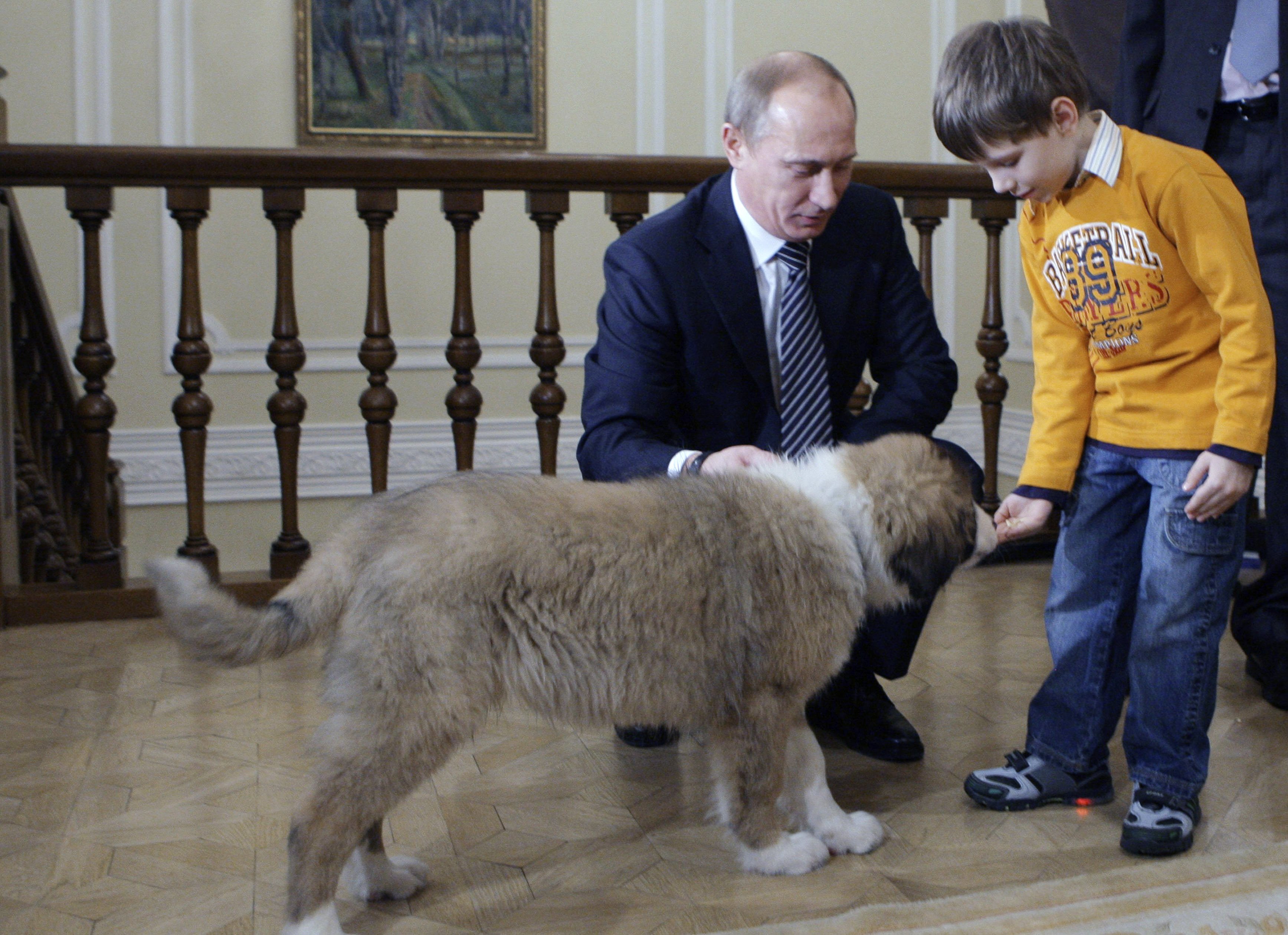 Vladimir Putin, bildextra, Ryssland, Djur