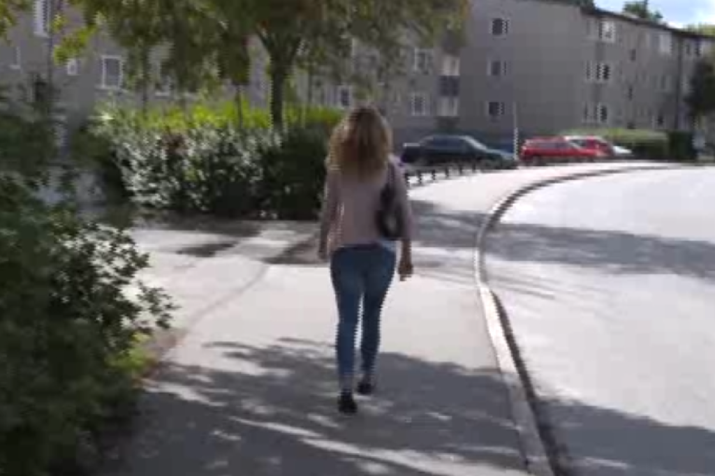 Misshandel, Efterlyst, Ran, Valdtakt