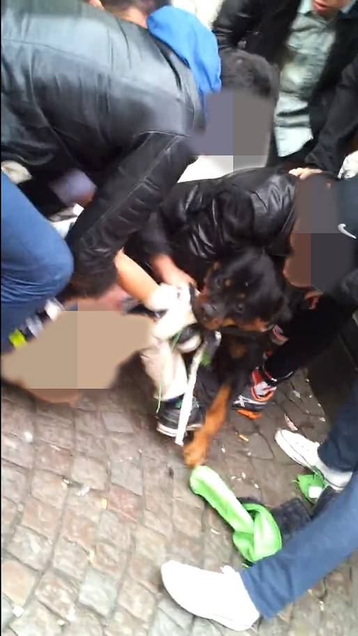 Forbud, Attack,  Hundrädd, Hundägare, Rottweiler