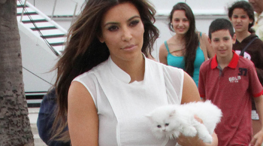  Mercy, Kanye West,  Choupette, Kim Kardashian