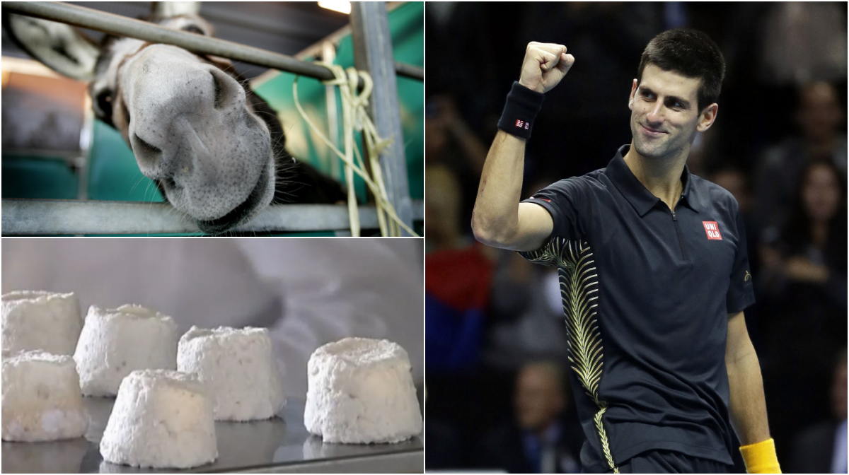 Tennis,  Åsneost,  Restaurangkedja, Novak Djokovic, Serbien,  Älgost