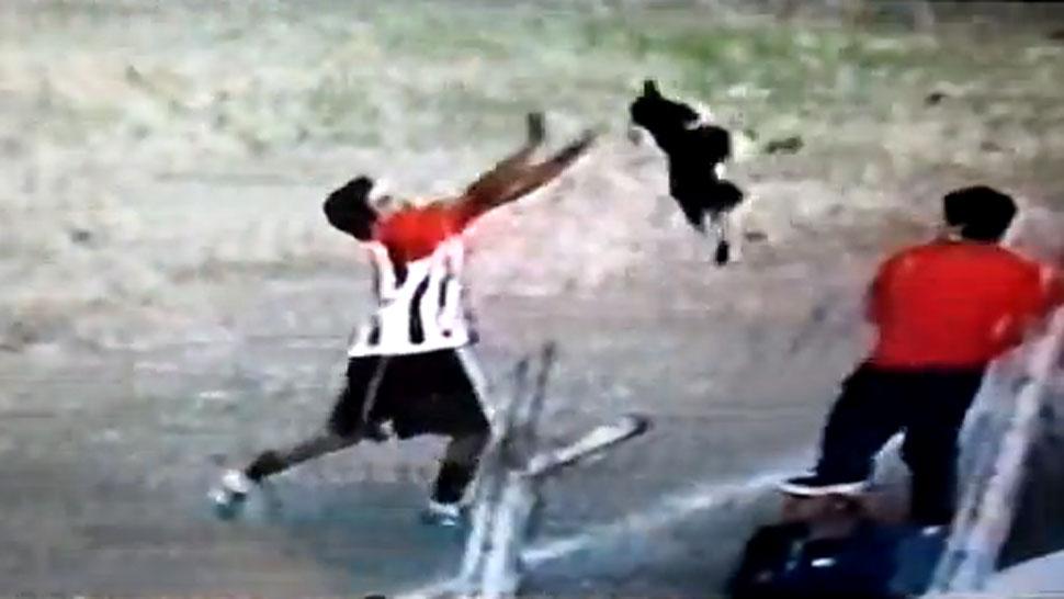 José Jimenez, Djurmisshandel, Hund, argentina, Fotboll