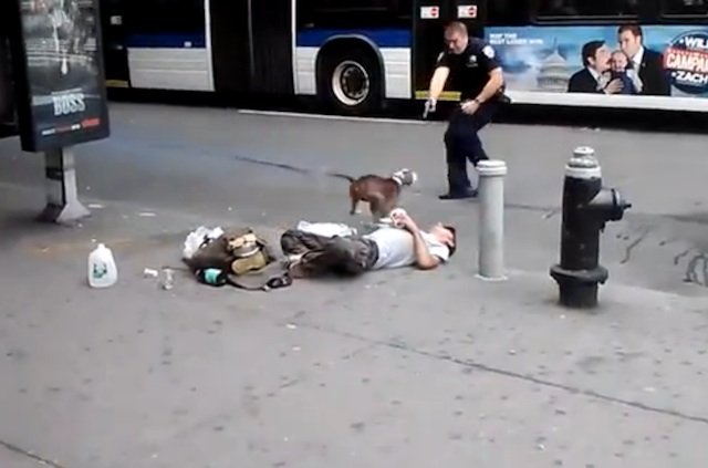 Polis, Hund, Skottlossning, Hemlös, New York