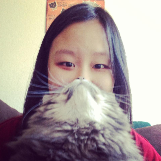 Hundar, skägg, Nättrend, Twitter, mem, instagram, Katter