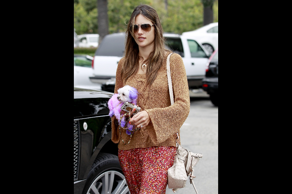 Mode, Alessandra Ambrosio, kändis, Victorias Secret, Jamie Mazur, Hollywood, Hund