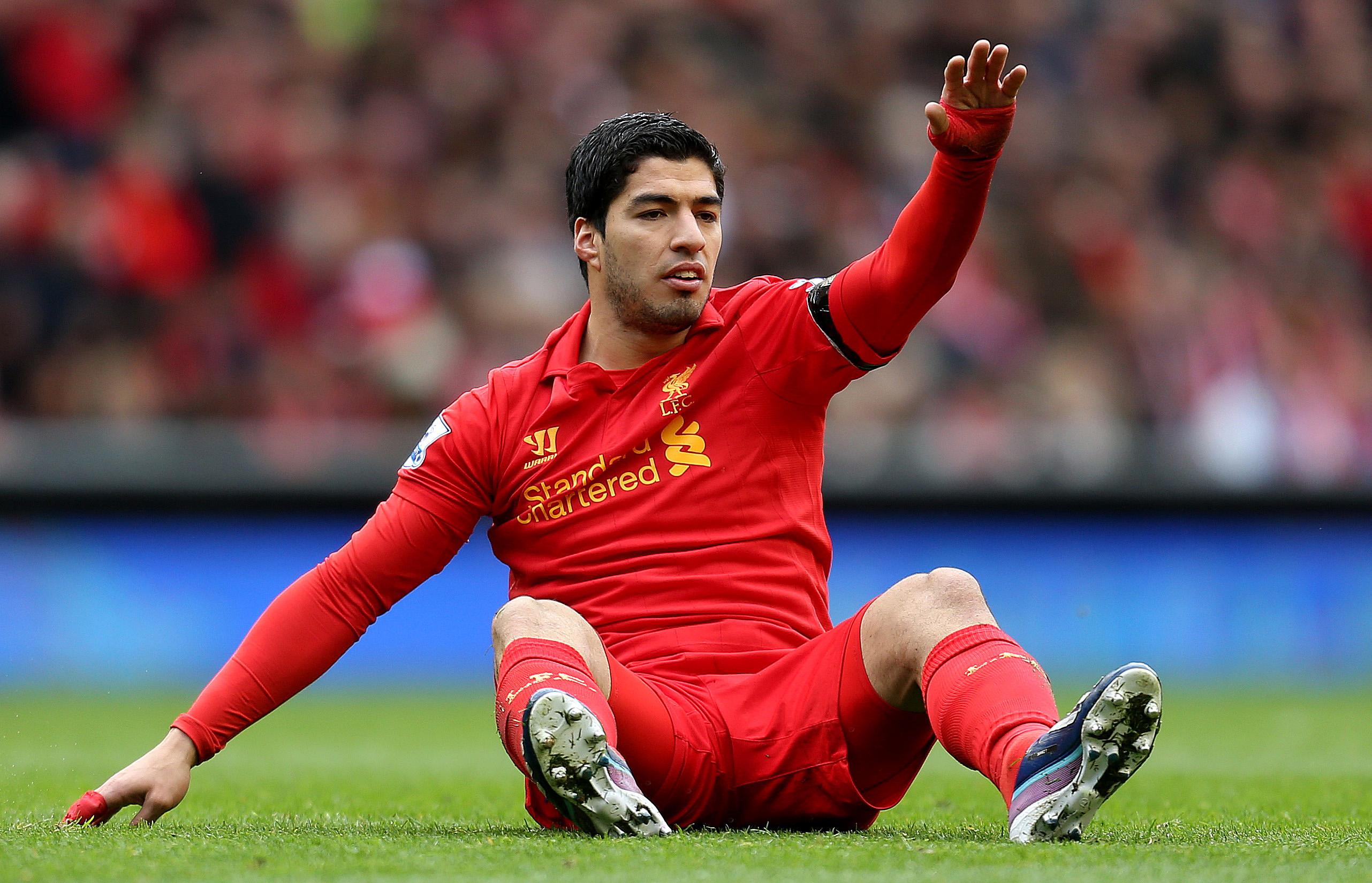 Luis Suarez, Bit-attack, Liverpool, Chelsea, Premier League, Branislav Ivanovic