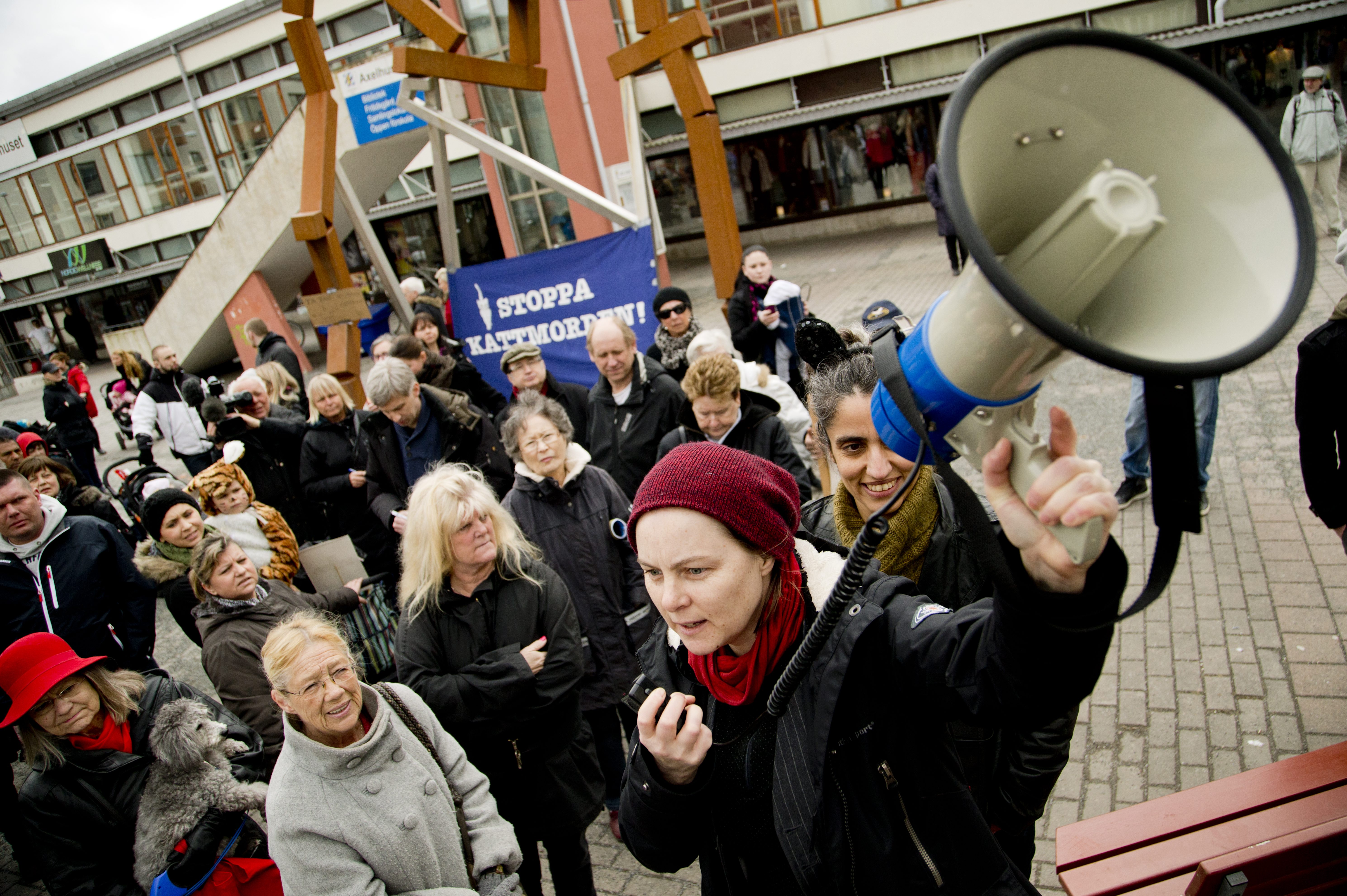 Flashback, Flashbackgrävarna, Forum, Polisen, Högsbo, Goteborg, Katter,  Kattmördare