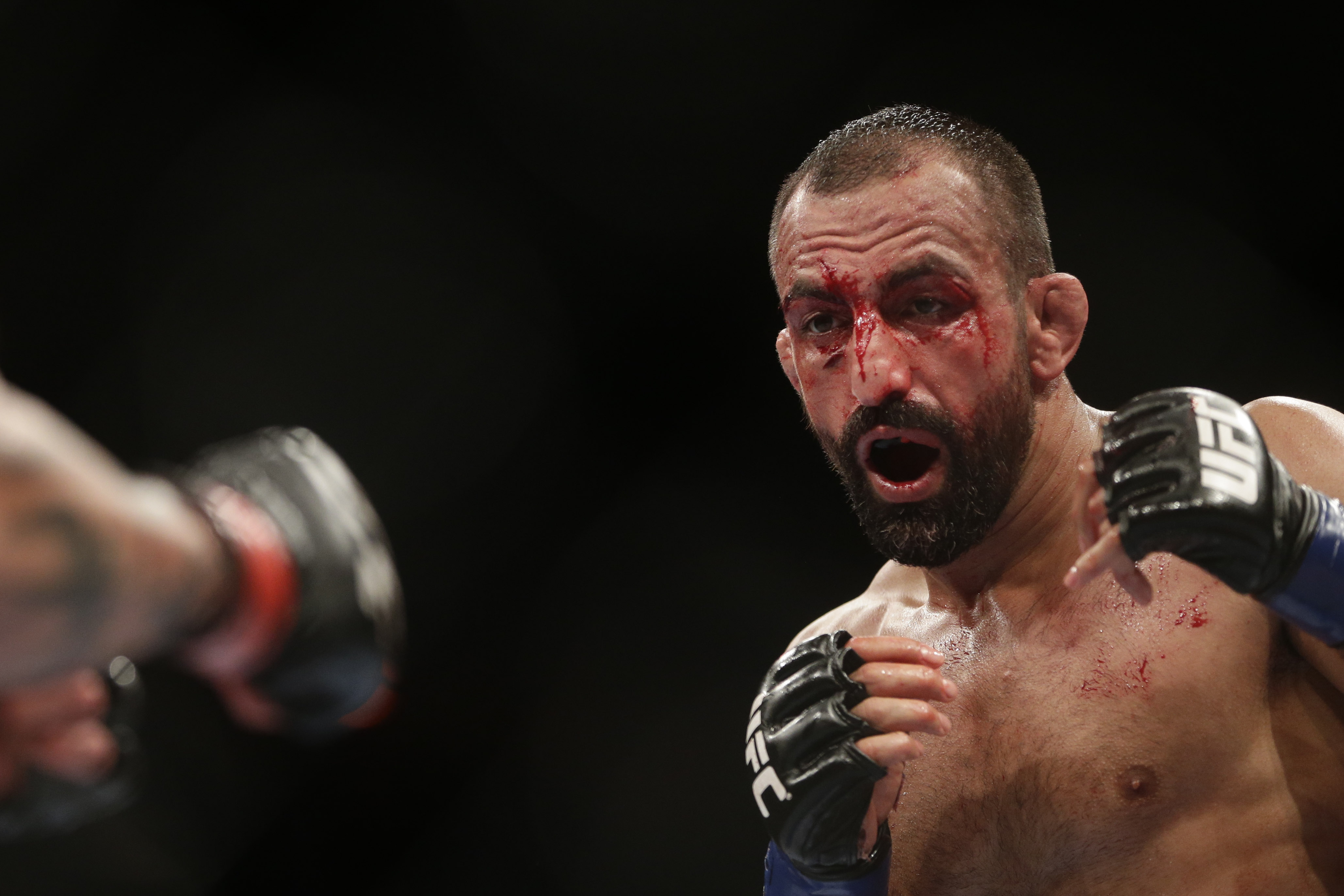Grov Stöld, Stockholm, Lyxbutik, MMA, Reza Madadi, Maddog