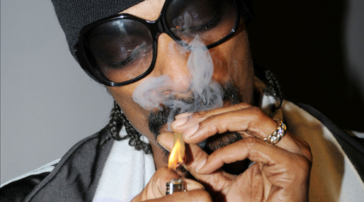  Lady Ganja, Lady Gaga